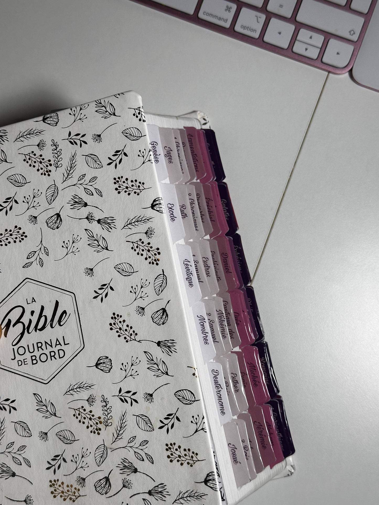 Onglets Bibliques Thématiques