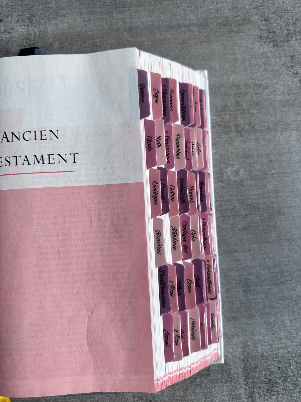 Onglets Bibliques – Pack Violet, Rose Bonbon et Pastel