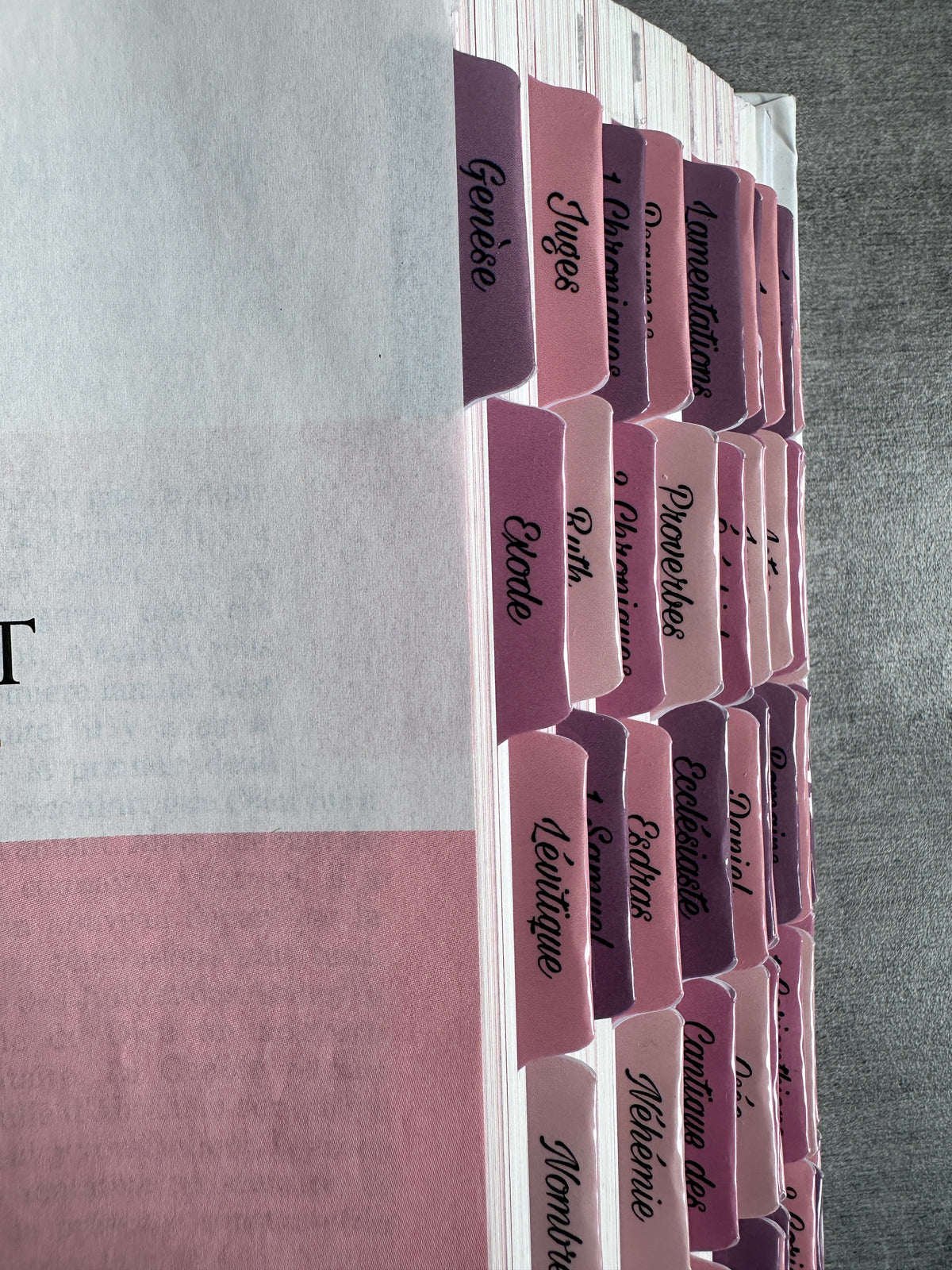 Onglets Bibliques – Pack Violet, Rose Bonbon et Pastel