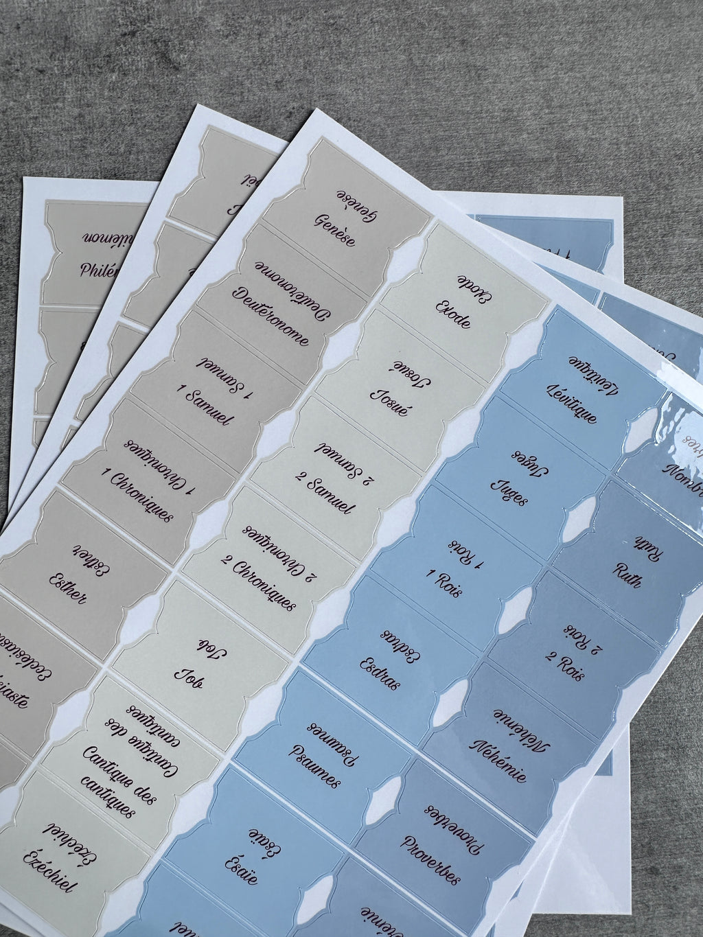 Onglets Bibliques – Pack Bleu et Beige
