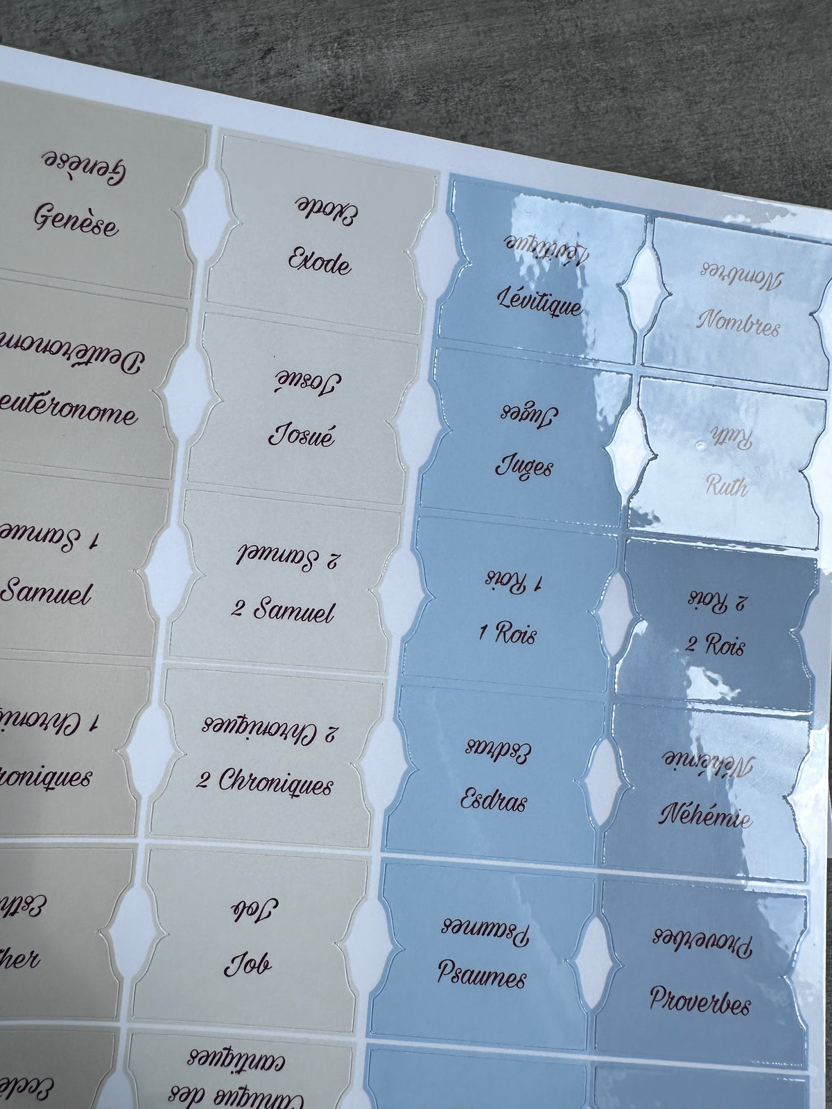 Onglets Bibliques – Pack Bleu et Beige