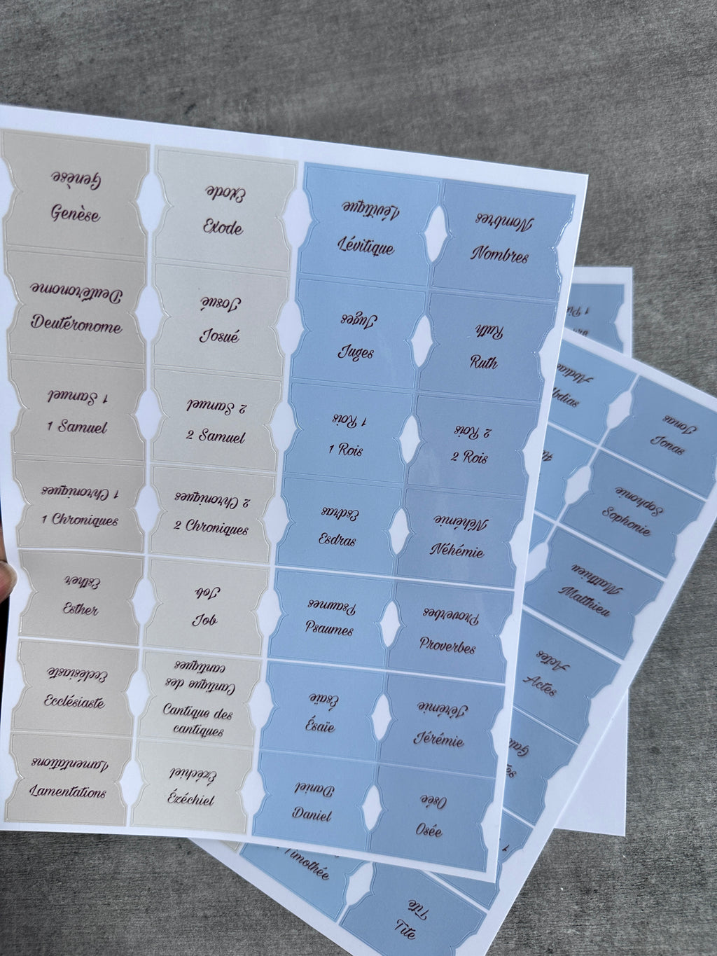 Onglets Bibliques – Pack Bleu et Beige