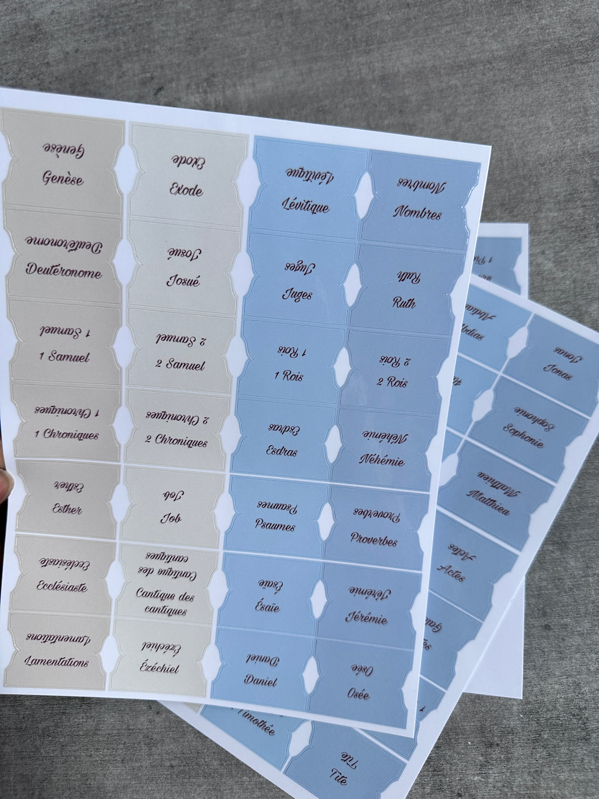 Onglets Bibliques – Pack Bleu et Beige