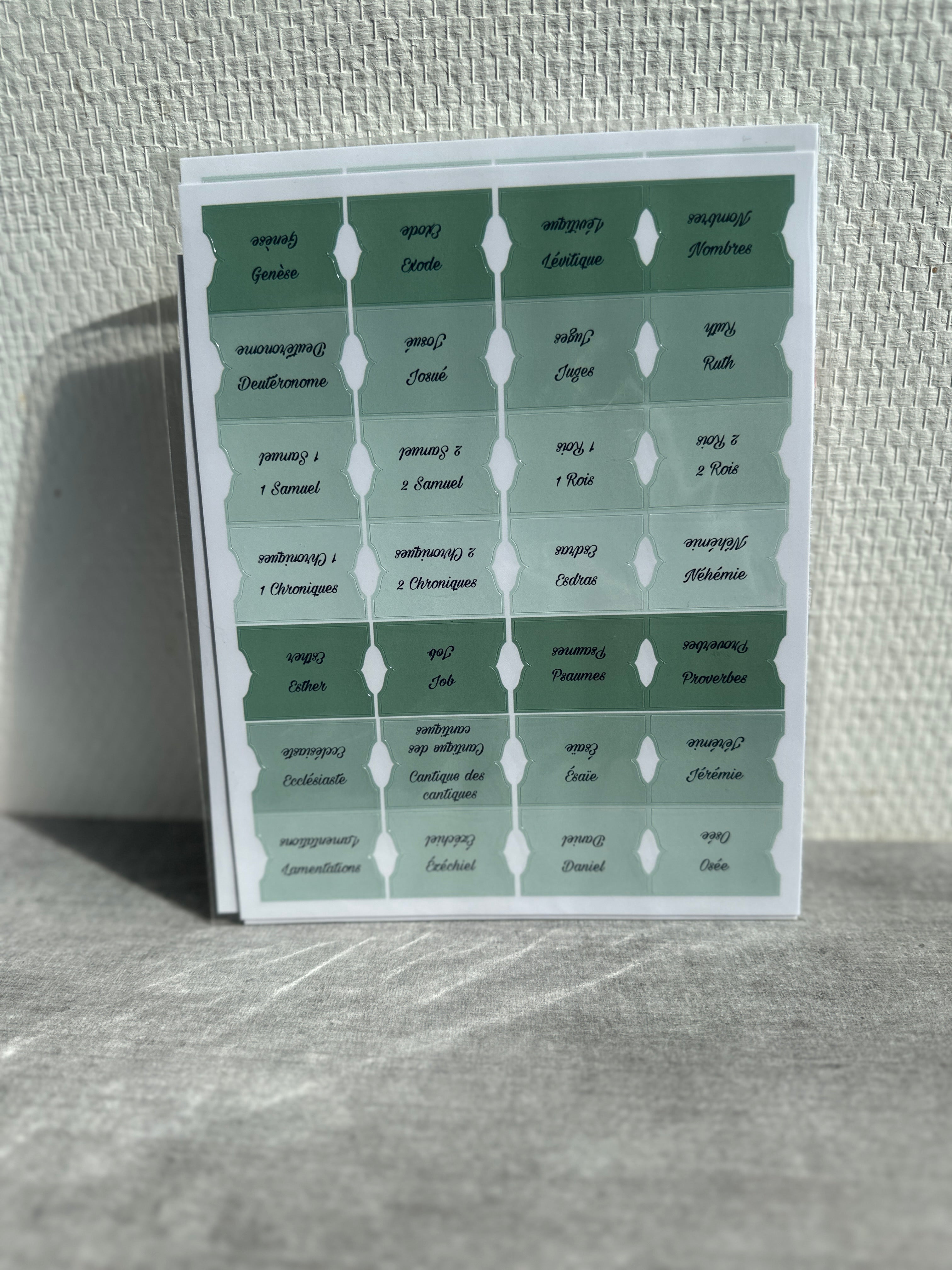 Onglets Bibliques – Pack Bleu et/ou Vert