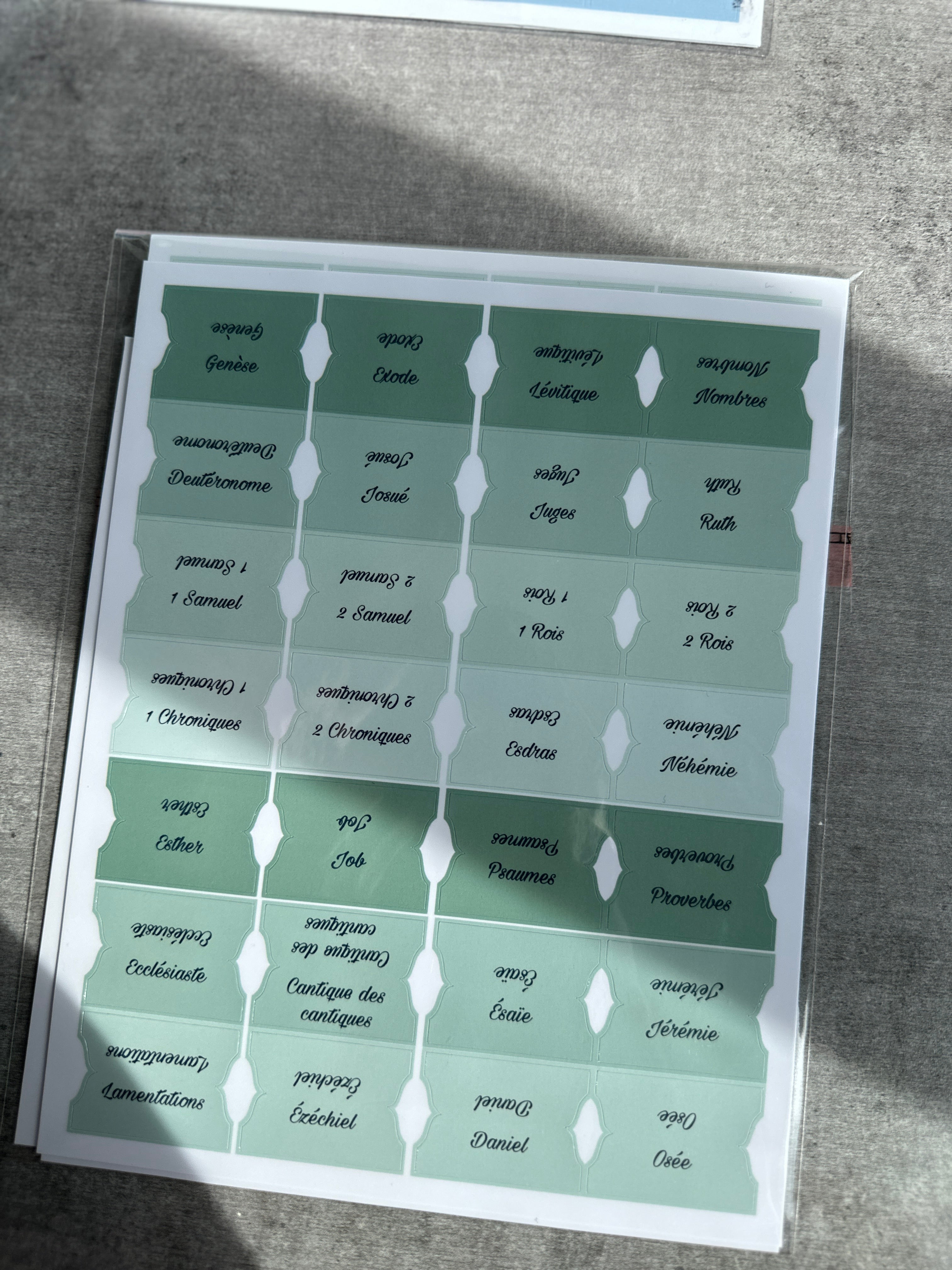Onglets Bibliques – Pack Bleu et/ou Vert