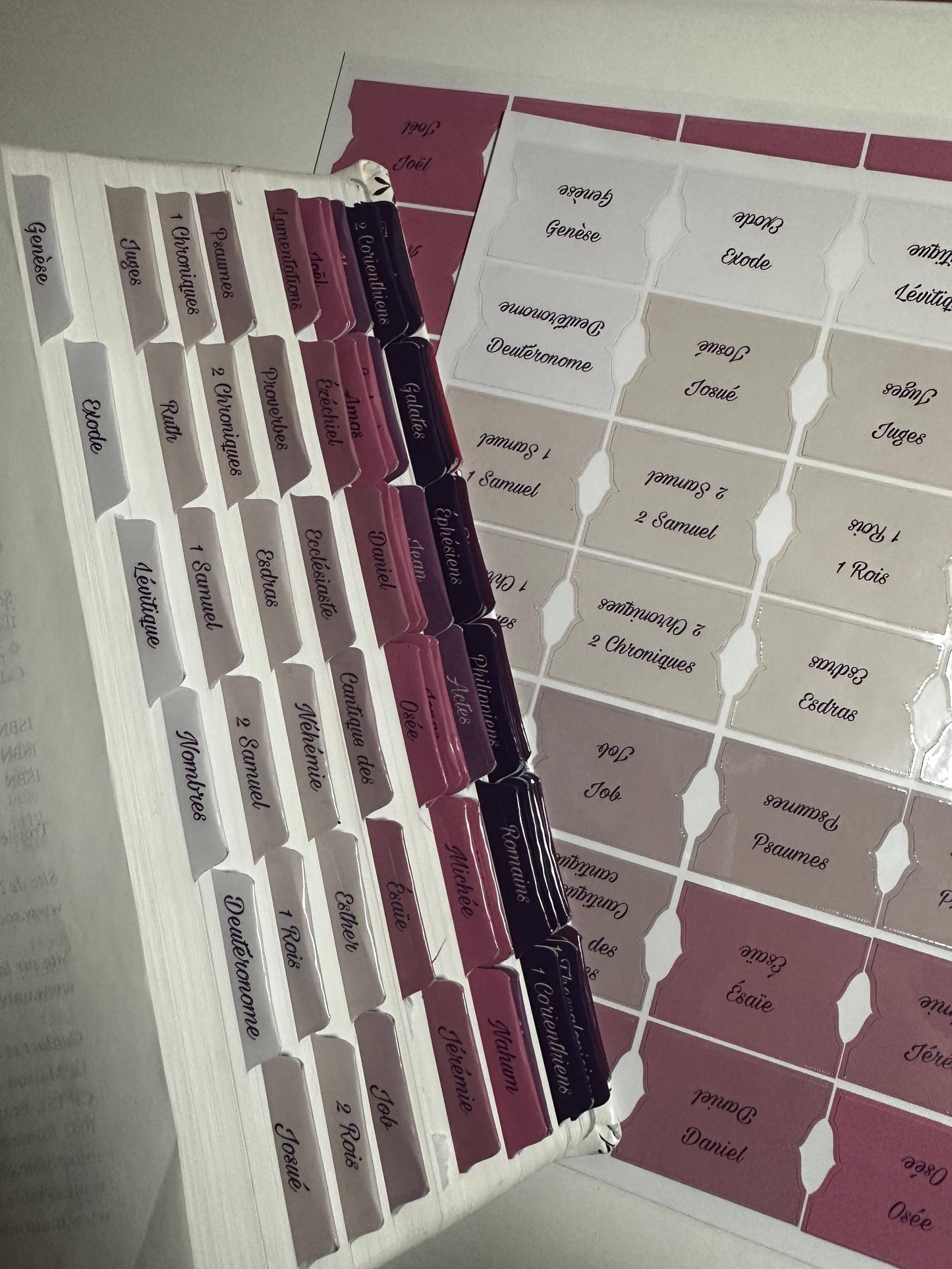 Onglets Bibliques Thématiques