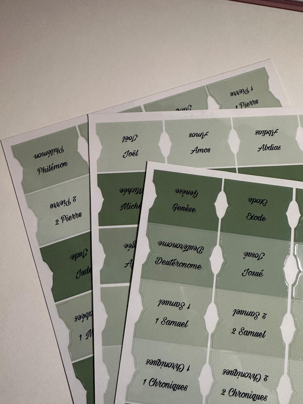 Onglets Bibliques – Pack 4 Nuances de Vert