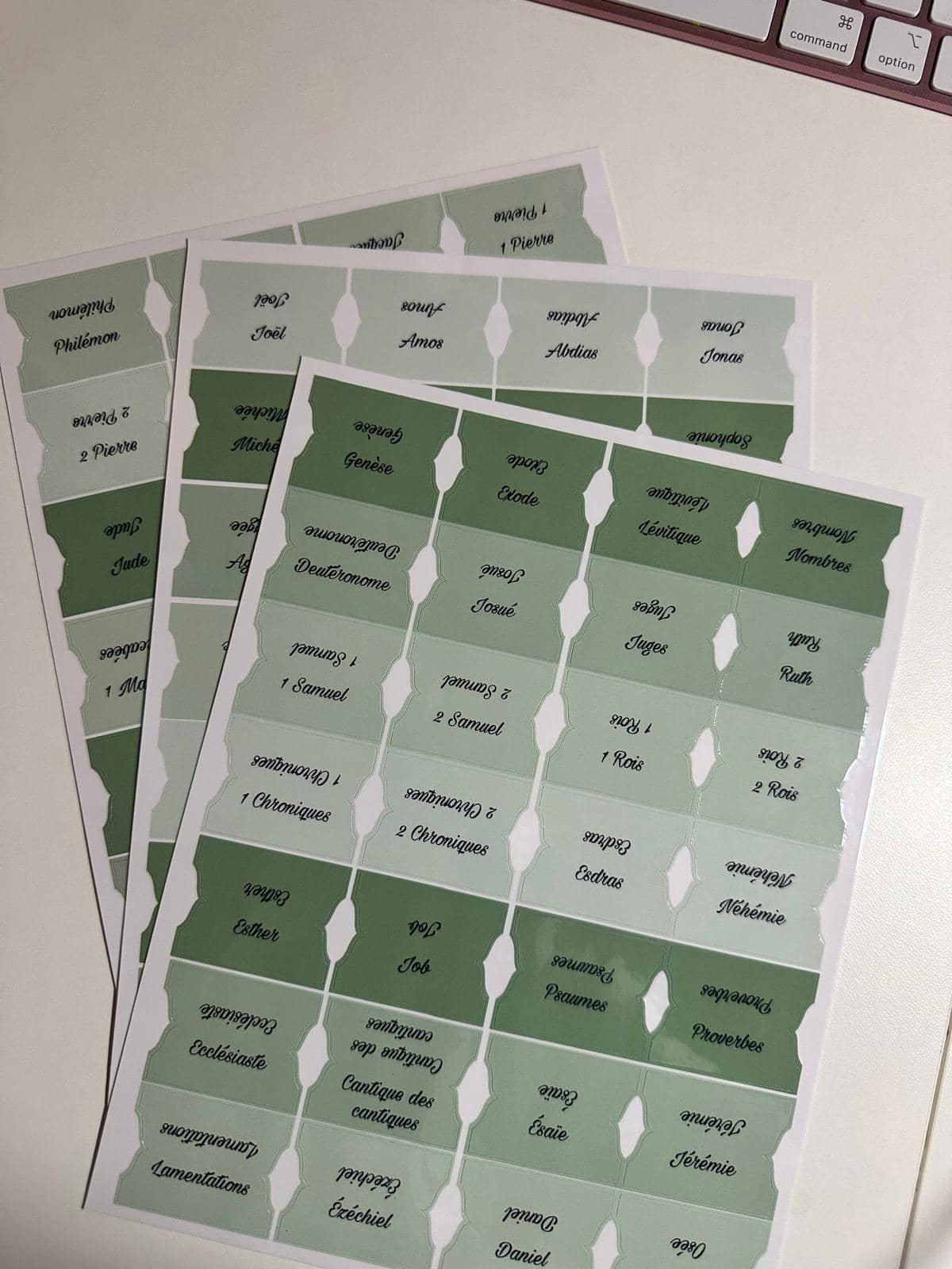 Onglets Bibliques – Pack 4 Nuances de Vert