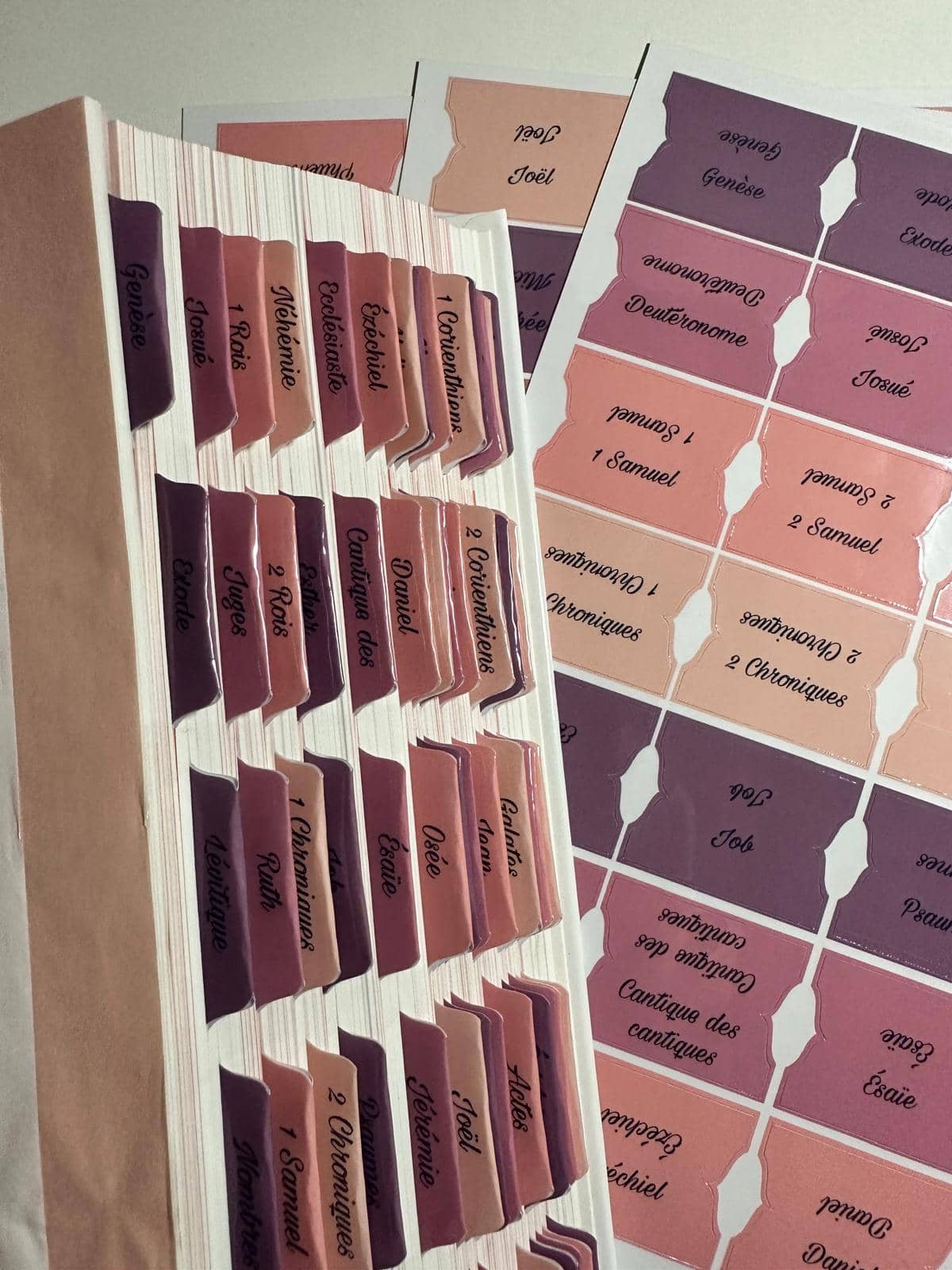 Onglets Bibliques – Pack Violet, Rose Bonbon et Pastel