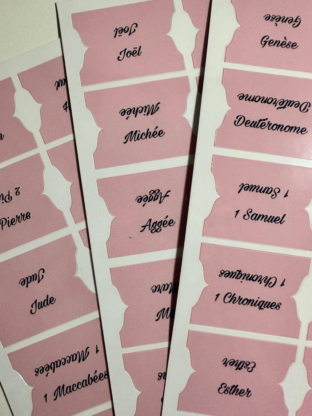 Onglets Bibliques – Rose